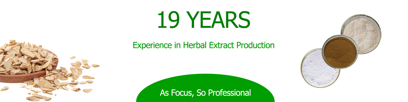 19 Years of Experience in Astragalus Extract Production - Chengdu King-tiger
