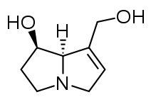 Pyrrolizidine alkaloids (PAs) structure