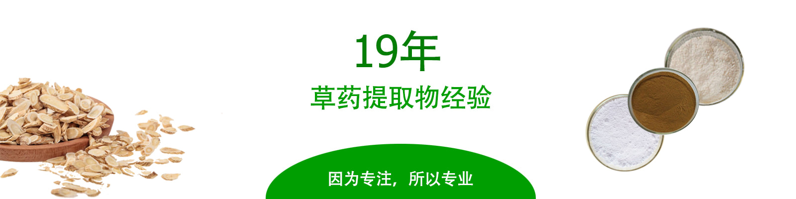 19年黄芪提取物生产经验 - 成都锦泰和医药化学技术有限公司