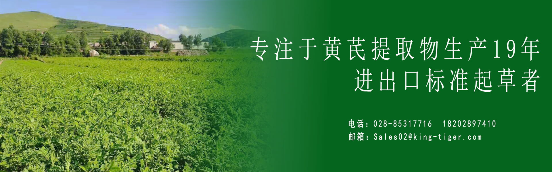 成都锦泰和黄芪原料种植基地，供应黄芪甲苷与环黄芪醇原料