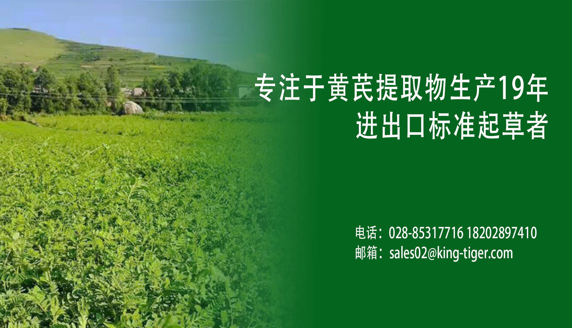 成都锦泰和黄芪原料种植基地，供应黄芪甲苷与环黄芪醇原料